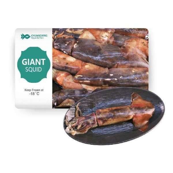 Giant Squid (Peru Squid/ Gigas)